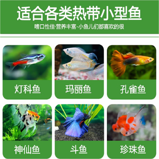 海豚 热带鱼观赏鱼小型鱼鱼食七彩鱼孔雀鱼粮燕子鱼神仙鱼灯科鱼饲料 3袋/88g