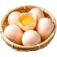京觅 无抗鲜鸡蛋 营养健康30枚/盒1.5kg源头直发