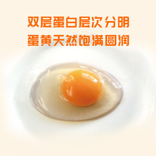 趣尝鲜无抗鲜鸡蛋15枚/盒 净重750g 源头直发