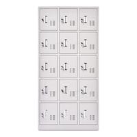 ZHONGWEI 中伟 十五门更衣柜办公柜铁皮柜员工储物柜多门柜浴室健身房寄存包柜鞋柜精致型