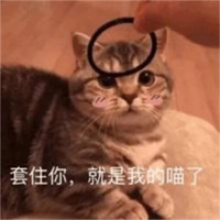 评论有奖：双11购物季，众多好物等你评，超多碎银奖励等你拿！