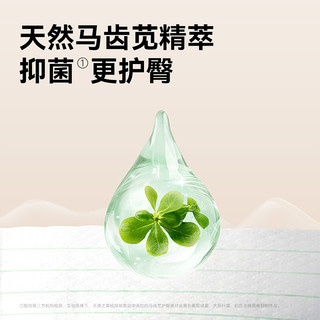  bibi 薄 婴儿成长裤