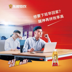 东鹏 特饮维生素功能饮料 500ml15