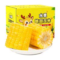 滇老头 水果玉米开袋即食云南水果甜玉米新鲜真空包装免煮粗粮代餐早餐1斤