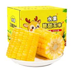 滇老头 水果玉米开袋即食云南水果甜玉米新鲜真空包装免煮粗粮代餐早餐1斤