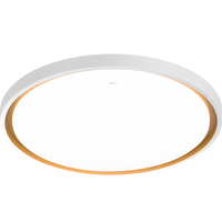 雷士照明（NVC）led吸顶灯北欧客厅灯现代简约超薄智能卧室餐厅灯具灯饰2024 【力荐】24W三色调光-柠梦/圆型 圆形24W三色调光-柠梦