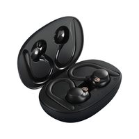 朗科（Netac）挂耳入耳式蓝牙耳机 HIFI级音质 隔绝漏音 运动通话降噪舒适超长续航 适用于苹果华为小米 TW03J