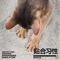 pidan猫砂 天然钠基球型猫砂膨润土砂 2.4kg款8包装