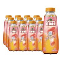 chivalry 雪菲力 酷 乌龙茶 白桃味 500ml*12瓶