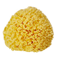 欧可宝贝 婴儿专用洗澡海绵扑天然蜂窝搓澡海绵沐浴球新生婴幼儿宝宝