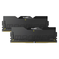 光威（Gloway）32GB(16GBX2) DDR5 6000 台式机内存条 龙武xMPOWER联盟款 马甲条 海力士A-die CL28 星空黑