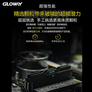 光威（Gloway）32GB(16GBX2) DDR5 6000 台式机内存条 龙武xMPOWER联盟款 马甲条 海力士A-die CL28 星空黑
