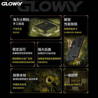光威（Gloway）32GB(16GBX2) DDR5 6000 台式机内存条 龙武xMPOWER联盟款 马甲条 海力士A-die CL28 星空黑