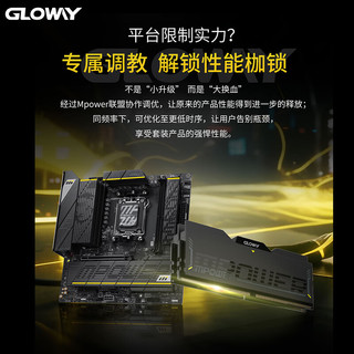 光威（Gloway）32GB(16GBX2) DDR5 6000 台式机内存条 龙武xMPOWER联盟款 马甲条 海力士A-die CL28 星空黑