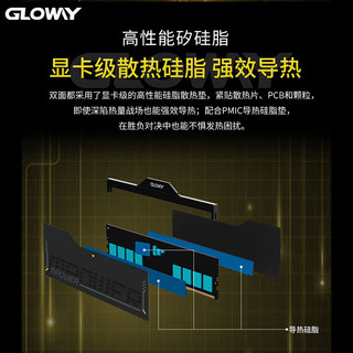 光威（Gloway）32GB(16GBX2) DDR5 6000 台式机内存条 龙武xMPOWER联盟款 马甲条 海力士A-die CL28 星空黑