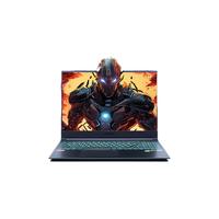 机械革命 旷世G16Pro 16英寸游戏本( i7-14650HX、16G、512GB 、RTX4060)