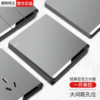 国际电工 一开单控开关