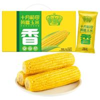 十月稻田 五常鲜食玉米 2.2kg