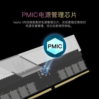 宏碁掠夺者DDR5 第5代 游戏超频内存 台式机电脑内存条 散热马甲条 炫光星舰丨DDR5 6000 C28 银 Adie 32GB 2条套条 32G（16Gx2）套条