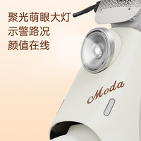  LUYUAN/绿源 长续航 电动自行车
