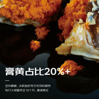 【活蟹】宿有千香霸王蟹精品鲜活大闸蟹洪泽湖河蟹生鲜水产礼盒装 公4.5两母3.5两 2对4只