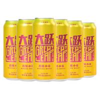 ERGOUPUB 果味 精酿啤酒  1x6x500ml 包装 500ml