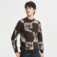 才子（TRIES）圆领提花毛衣男春秋撞色针织衫男装青少年保暖毛衫上衣 咖啡色 M 46(165/84A)