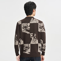 才子（TRIES）圆领提花毛衣男春秋撞色针织衫男装青少年保暖毛衫上衣 咖啡色 2XL 52(180/96A)