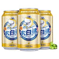 TSINGTAO 青岛啤酒 大白鲨系列 啤酒