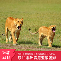 双11不约可退-全国联运非洲肯尼亚跟团10日游马赛马拉安博塞利