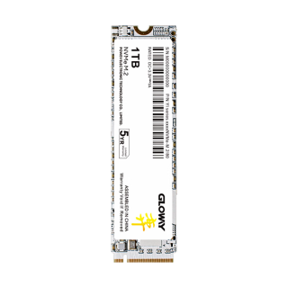 光威 弈系列 M.2 NVMe 1TB 固态硬盘