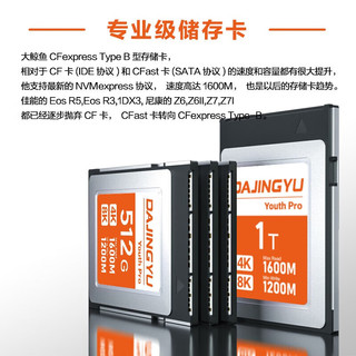  DAJINGYU 高速 CFE Type B存储卡  128GB