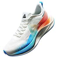 匹克态极骋风2.0冬季全能体测训练跑步鞋男女缓震支撑运动鞋