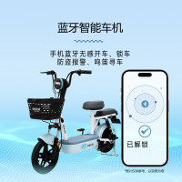 移动端、京东百亿补贴：飞鸽 E75智能电动自行车45公里长续航电动车铅酸电池48V12Ah电瓶车源彩星黛蓝