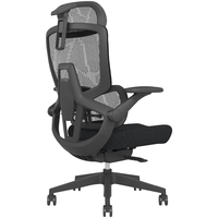 ENOVA智慧家海绵款 人体工学椅电脑椅家用舒适久坐办公椅撑腰学习椅子