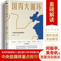 国内大循环（全景式层的视角彻底讲透新发展格局下的战略与机遇！）