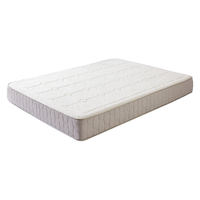 MLILY 眯狸 星云系列 QSwx2020609 记忆棉弹簧床垫 180*200*20cm