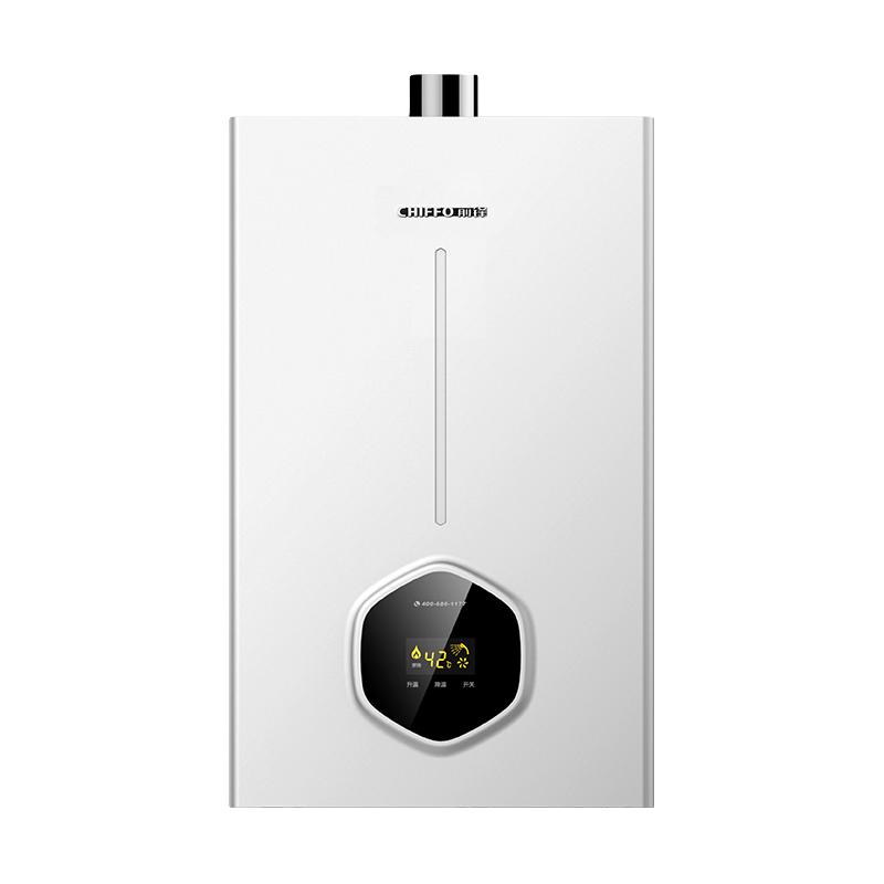 前锋 JSQ23-12B01R 恒温强排 燃气热水器