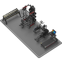 康强 509PRO V10T S80 E300 双层10付哑铃套装 25平米