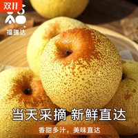 福瑞达 正宗砀山梨子当季水果新鲜青梨皇酥梨斤整箱包邮应香梨雪梨1时令