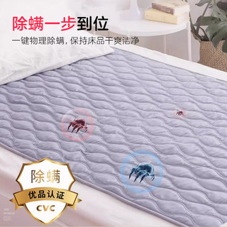 彩虹电热毯单人电褥子单人长1.8米宽0.8/1.0米定时一键排潮调温电毯子 排潮除螨 长1.8米宽1.0米 磨毛