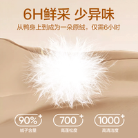 网易严选【轻+7.0】24秋冬90白鸭绒羽绒服防风保暖抗静电石 立领款-石墨黑 L