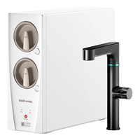 移动端、京东百亿补贴：安吉尔 玉龙Pro1000G 家用净水器RO反渗透