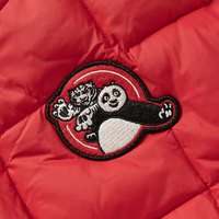 戴维贝拉 男童抗菌绒防水羽绒服