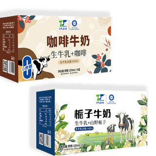 天太乳业 咖啡牛奶 250ml*6盒