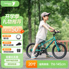 途锐达 20寸超轻儿童自行车6-10岁12岁变速自行车青少年蜂鸟绿