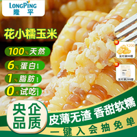 隆平 香 花小糯玉米 2.4斤