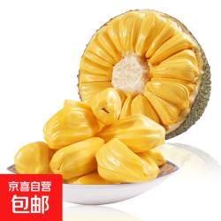 3块一斤！海南黄肉菠萝蜜一整个18-22斤