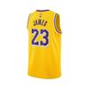NIKE 耐克 DN2009-733 速干 NBA湖人队詹姆斯球衣