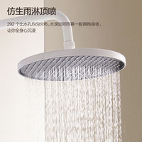 安华ANNWA 恒温花洒套装全套大置物平台家用精铜浴室挂墙式自洁莲蓬头 恒温三功能6019 德国IF设计大